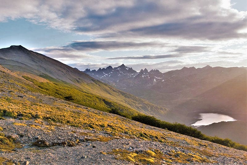 Dientes-de-Navarino
